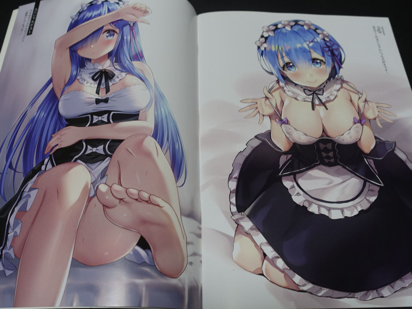 Ayami Re Zero Rem Color Fan Art Book REM x RKGK2 C96