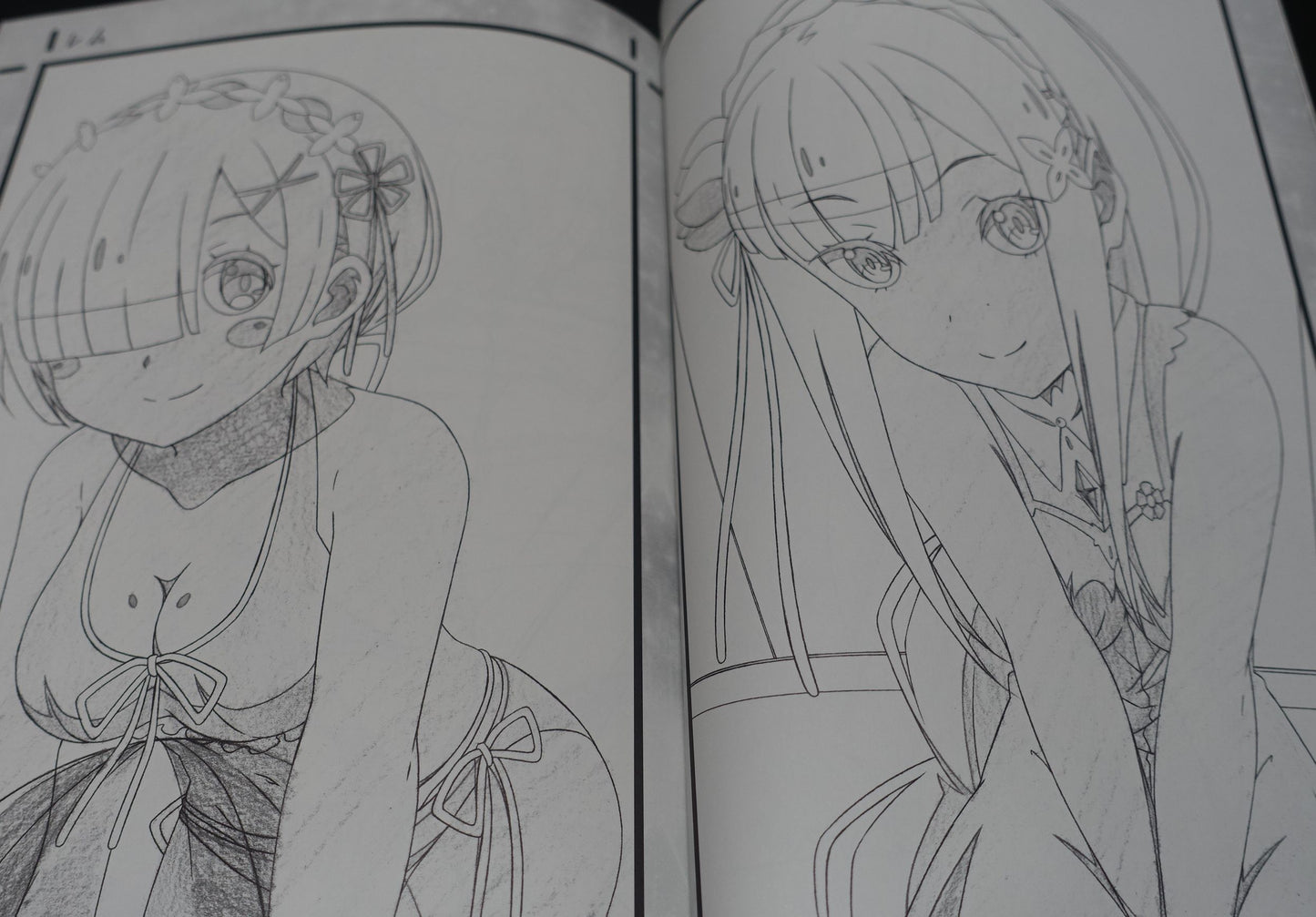 Decisive Animation Illustrator's Re Zero Fan Art Book Decisive Project 9