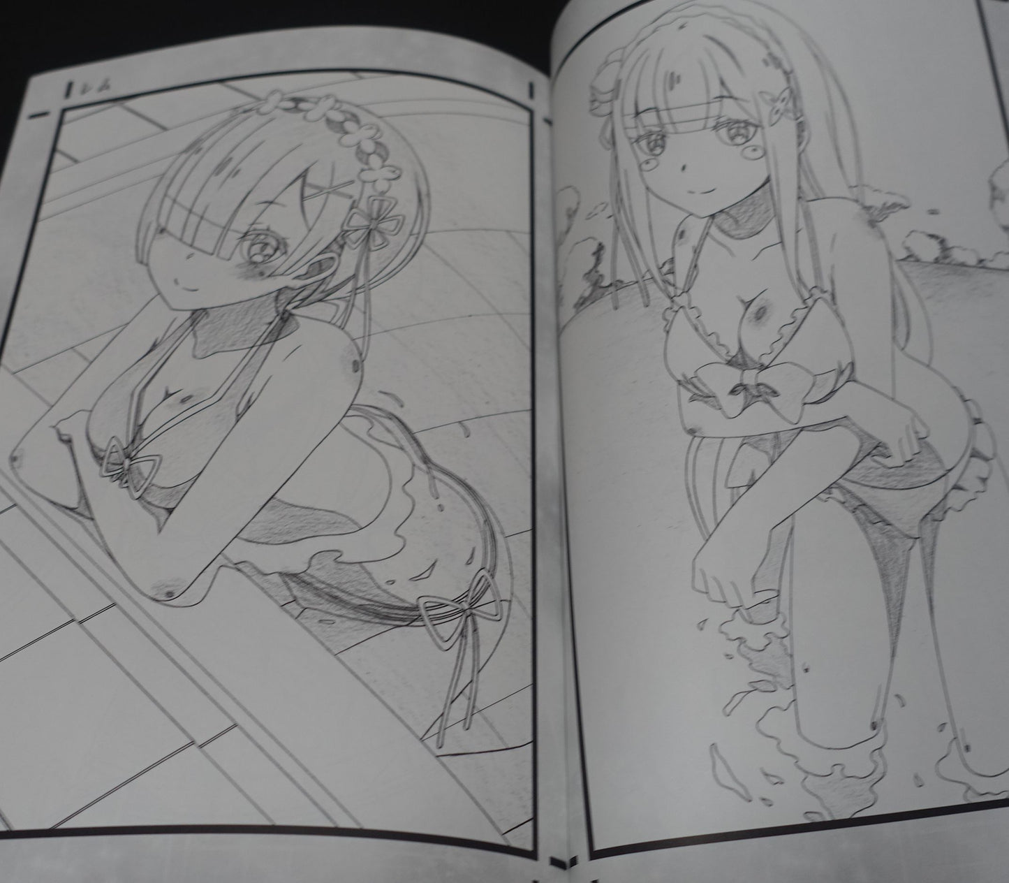 Decisive Animation Illustrator's Re Zero Fan Art Book Decisive Project 10