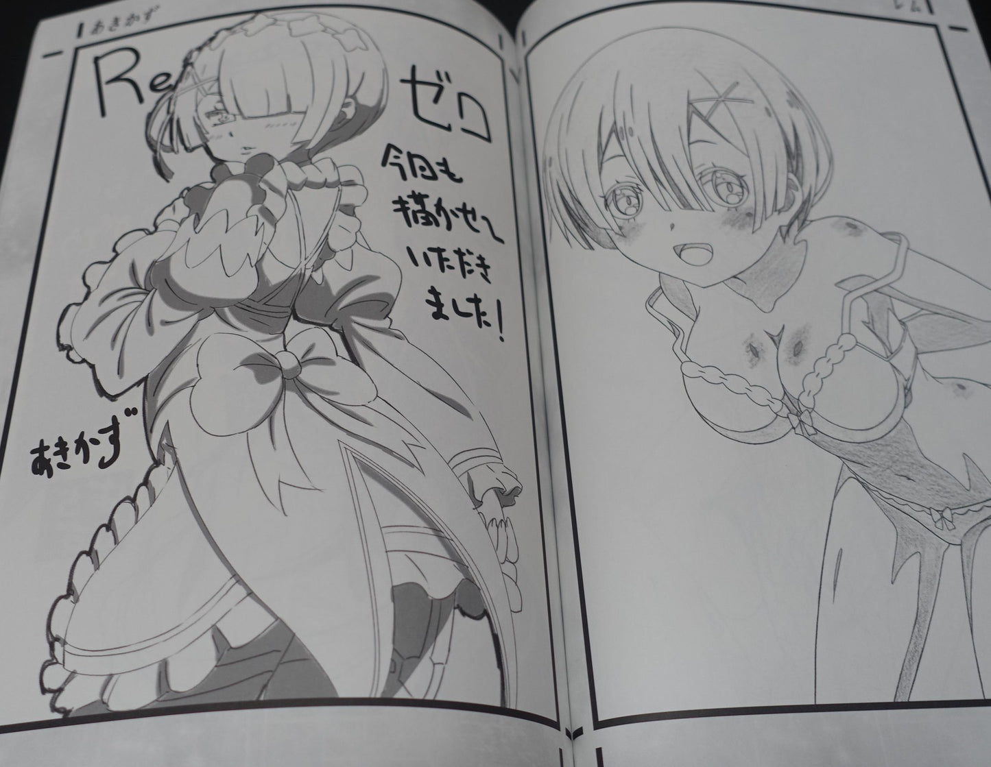 Decisive Animation Illustrator's Re Zero Fan Art Book Decisive Project 11