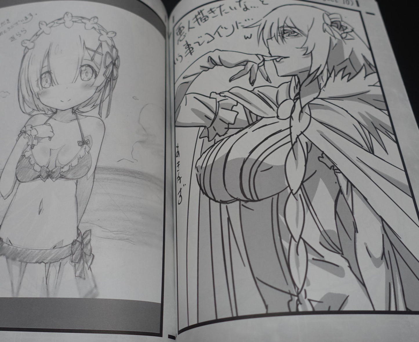 Decisive Animation Illustrator's Re Zero Fan Art Book Decisive Project 11