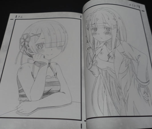 Decisive Fate Apocrypha Kakegurui Tokyo Ghoul Re Key Animation Art Work Book Decisive Project 12
