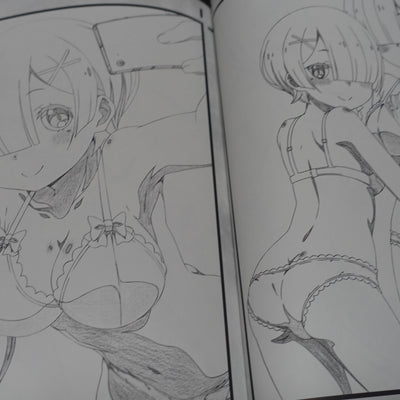 Decisive Animation Illustrator's Re Zero Fan Art Book Decisive Project 14