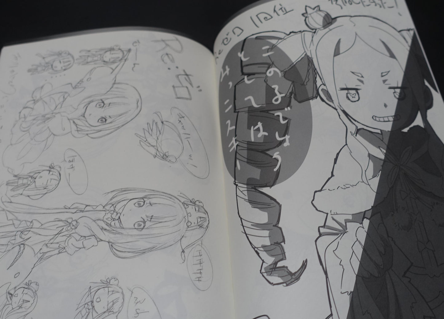 Soubi Musou Animation Illustrator's Re Zero Fan Art Book Re Zero Rakugaki Hon