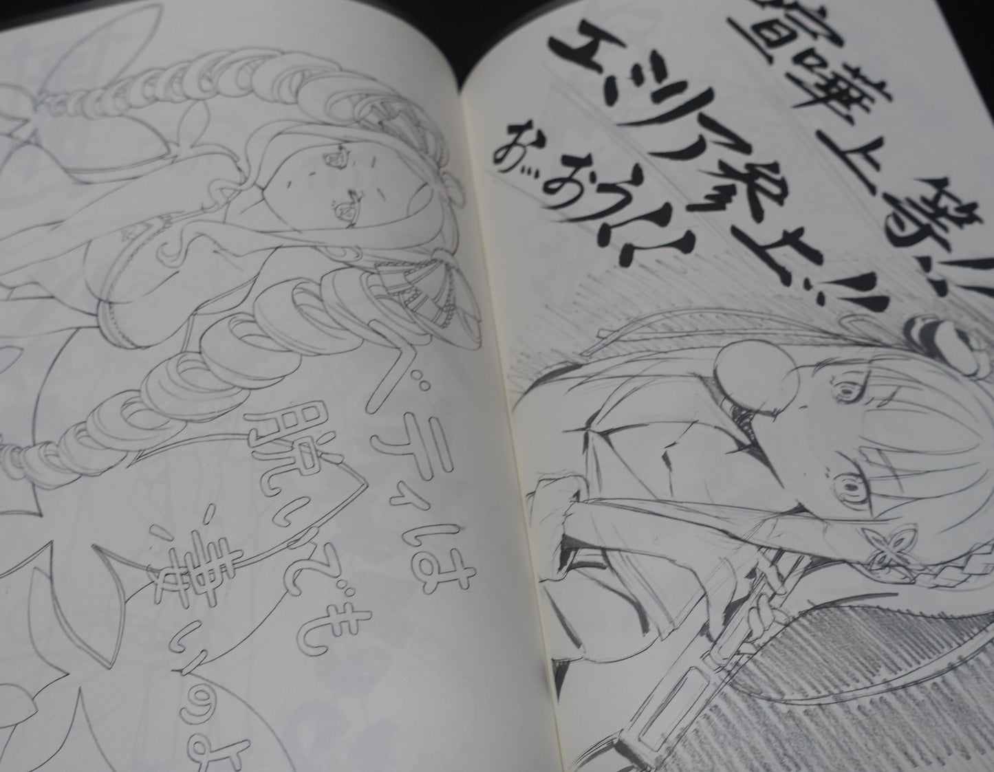 Soubi Musou Animation Illustrator's Re Zero Fan Art Book Re Zero Rakugaki Hon