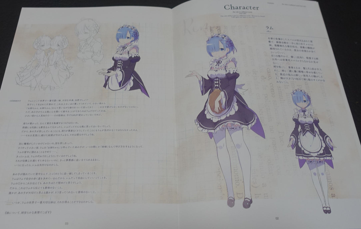 Re Zero Visual Complete Book vol.2 & 3