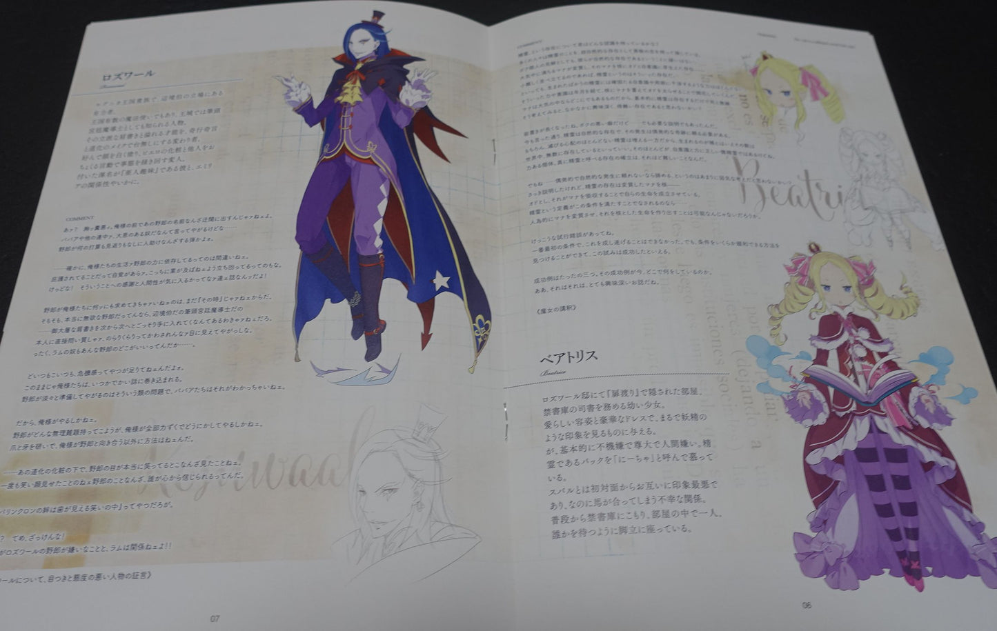 Re Zero Visual Complete Book vol.2 & 3