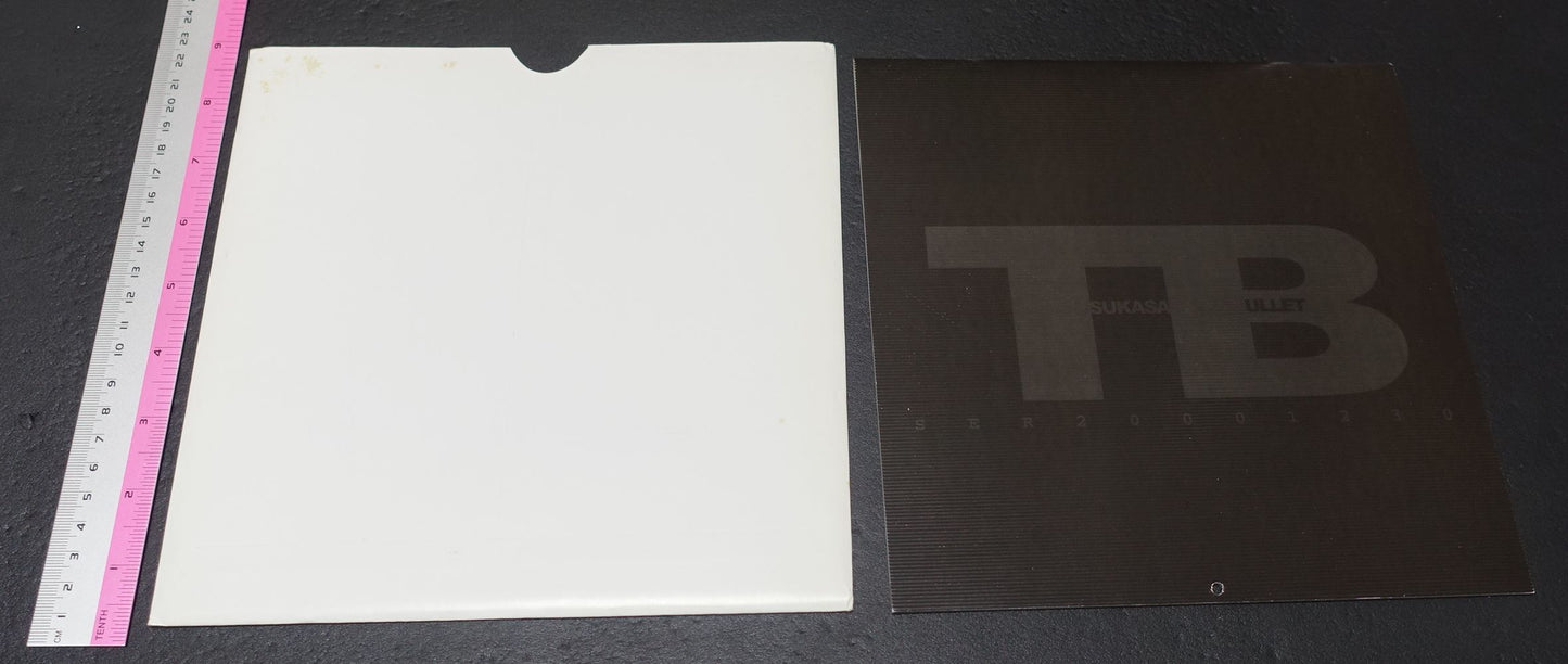 Tsukasa Jun Art Book Tsukasa Bullet CALENDAR BOOK 2001