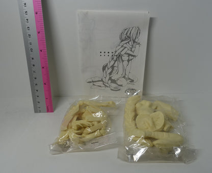 ALPHA Unfinished Resincast Kit Outlaw Star Aisha Clanclan 1/8 Scale Garage Kit