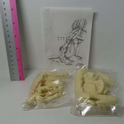 ALPHA Unfinished Resincast Kit Outlaw Star Aisha Clanclan 1/8 Scale Garage Kit