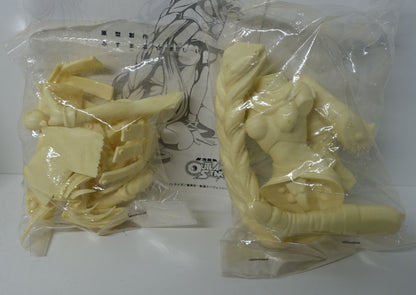 ALPHA Unfinished Resincast Kit Outlaw Star Aisha Clanclan 1/8 Scale Garage Kit