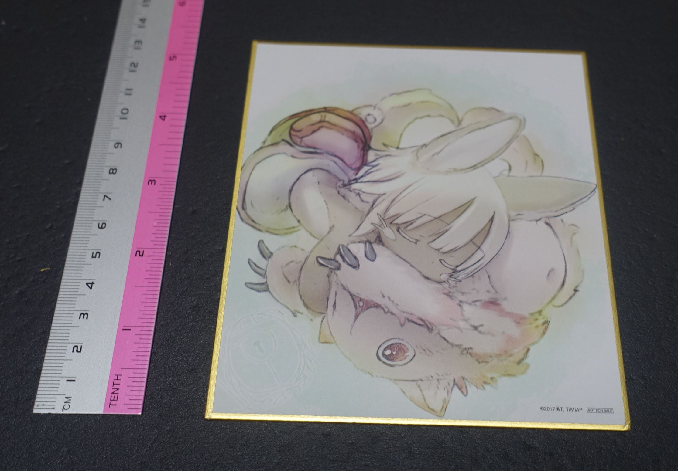 Tsukushi Akihito MADE IN ABYSS Printed Shikishi Art Board Nanachi & Mitty B