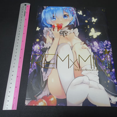 Hachigo Ayami Re Zero Rem Color Fan Art Book REM x MIMI