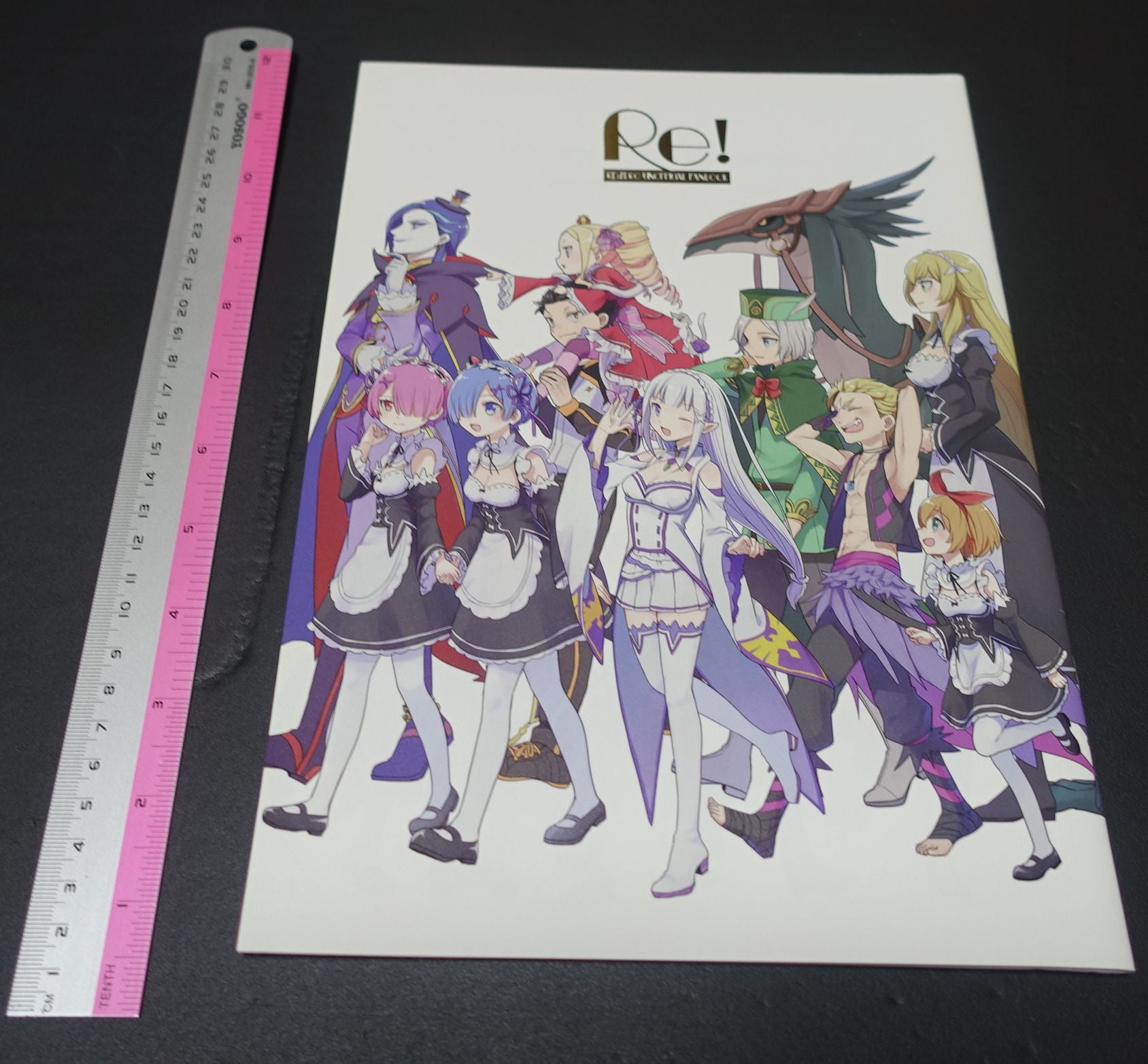 Tori to Shakegohan Re Zero Color Fan Art Book Re!