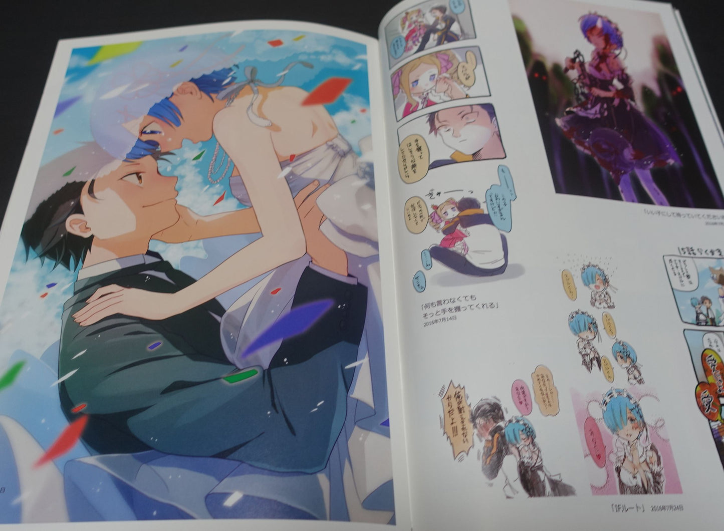 Tori to Shakegohan Re Zero Color Fan Art Book Re!