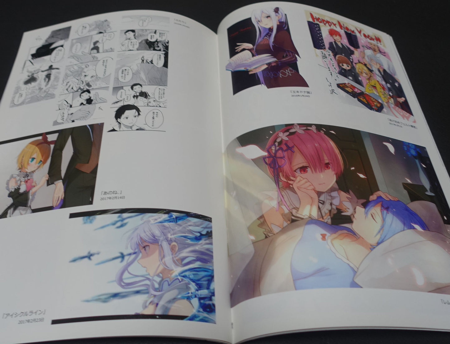 Tori to Shakegohan Re Zero Color Fan Art Book Re!