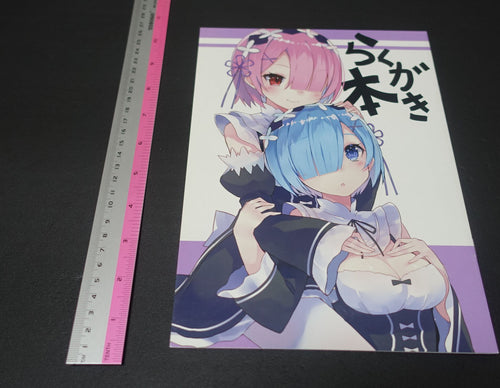 TracoStarwberry x PALE LIGHT Re Zero & FGO Color Fan Art Book Rakugaki Hon