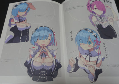 TracoStarwberry x PALE LIGHT Re Zero & FGO Color Fan Art Book Rakugaki Hon