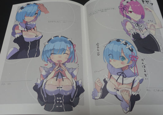 TracoStarwberry x PALE LIGHT Re Zero & FGO Color Fan Art Book Rakugaki Hon