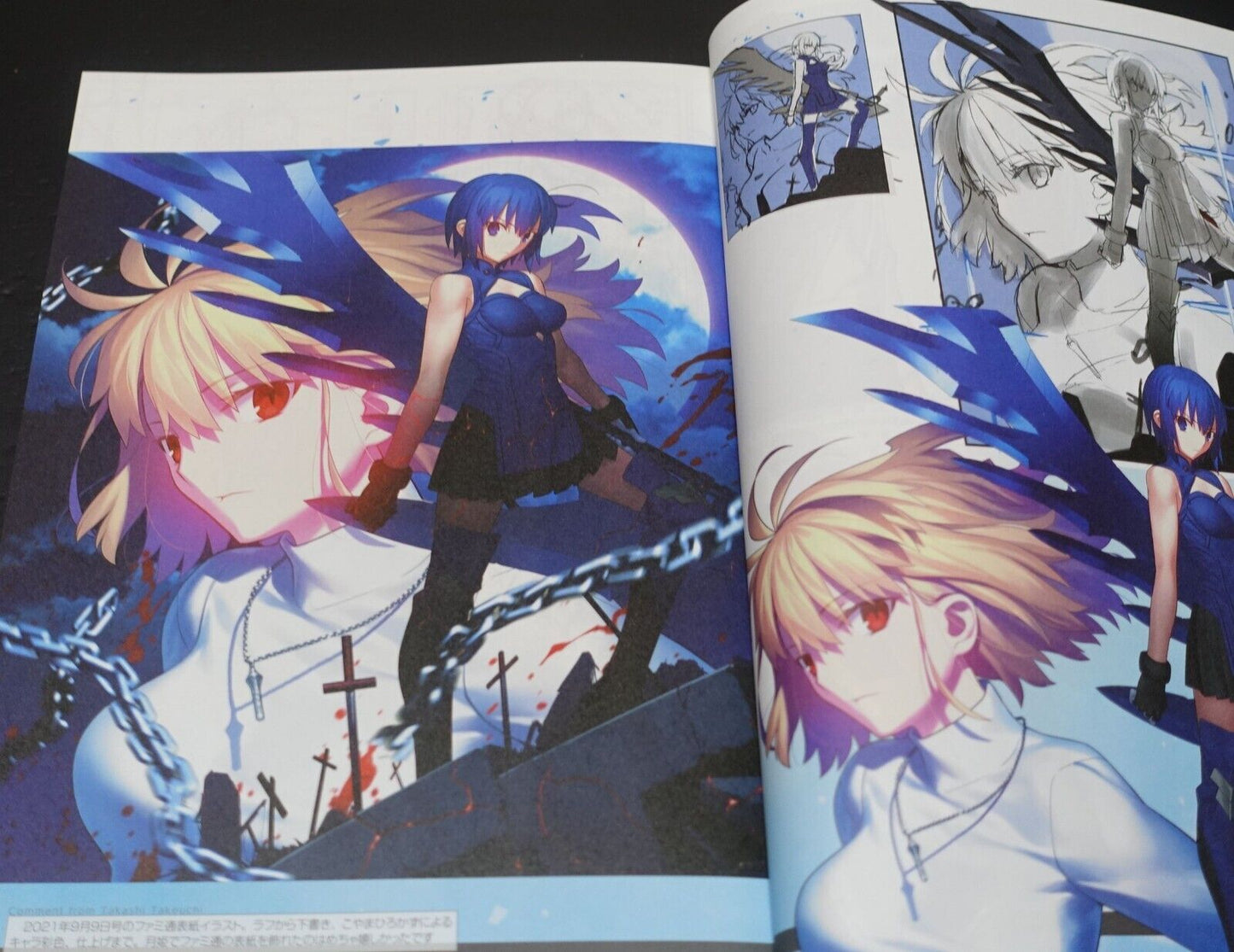 Takehouki Katatsuki Kouhon & FGO Avalon le Fae Synopsys Scenario Script Book Set 