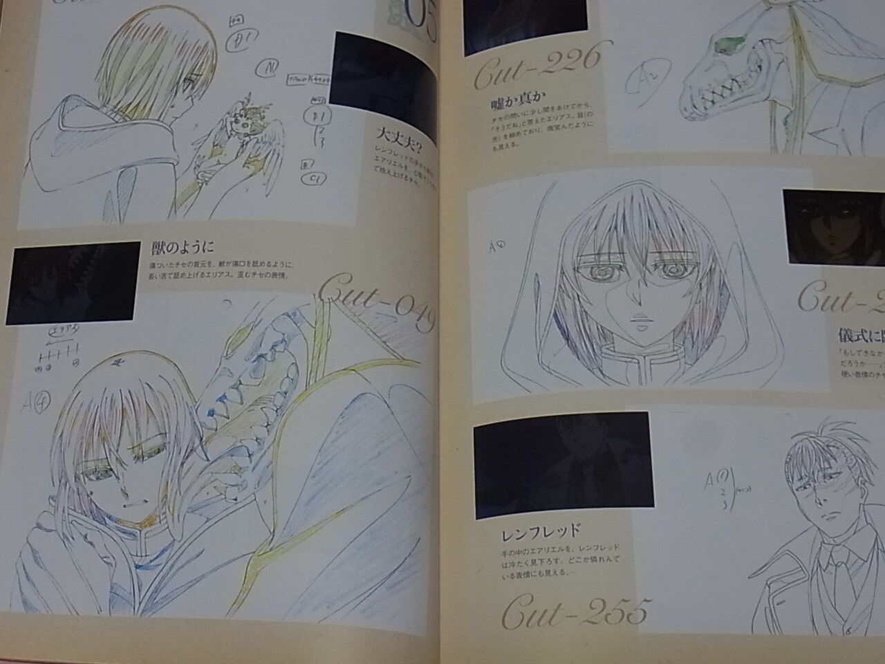 WIT STUDIO The Ancient Magus Bride Mahou Tsukai no Yome TV Animation Works 1st 