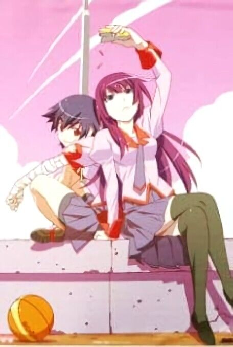 Bakemonogatari 42 x 59 cm Tapestry Hitagi & Suruga 