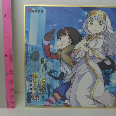 Dengeki Bunko Shikishi Art Board Collection A Certain Magical Index 