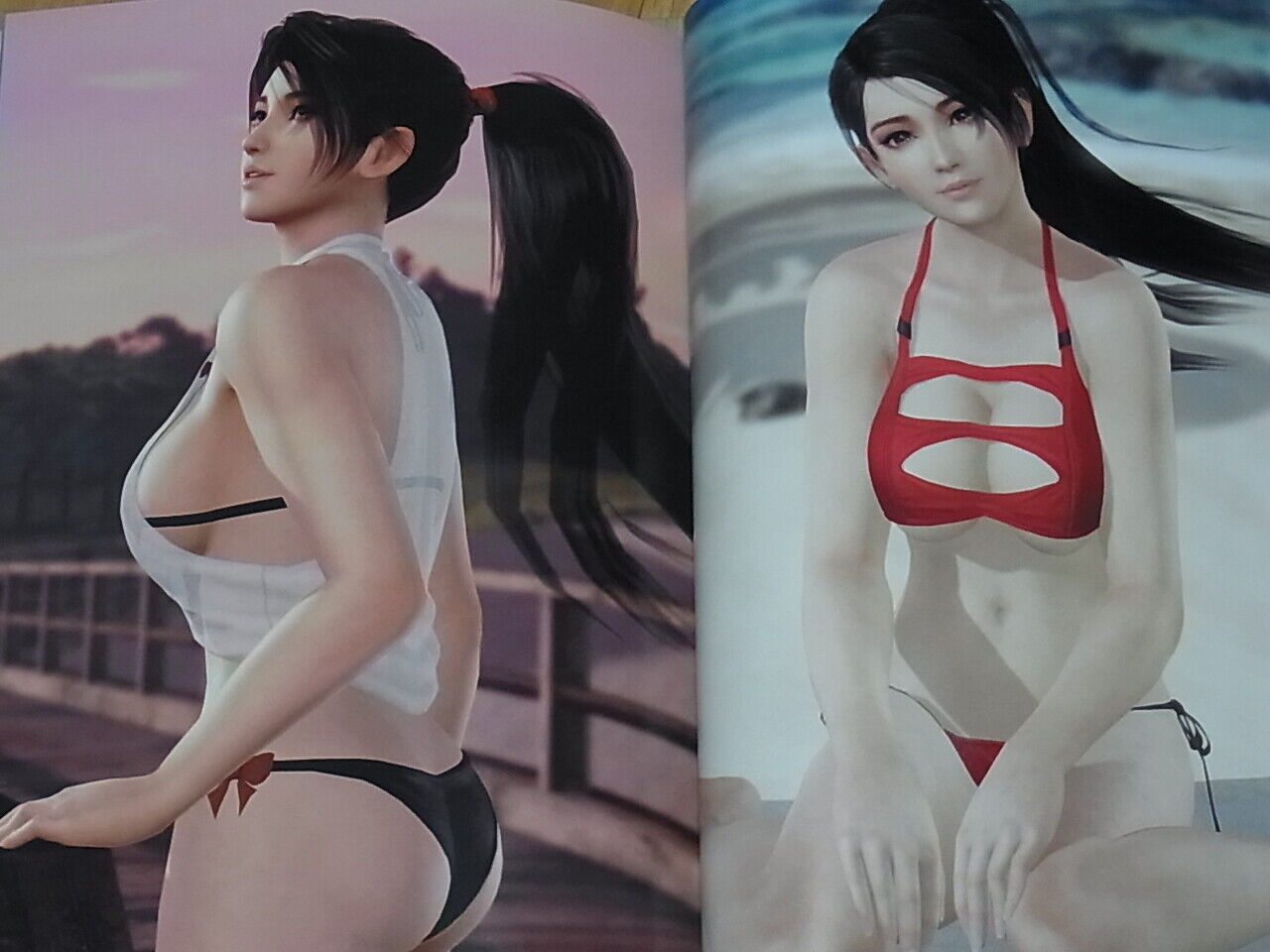 Dead Or Alive Xtreme3 Scarlet Venus Collection Photo Art Book 128page Hard Cover 