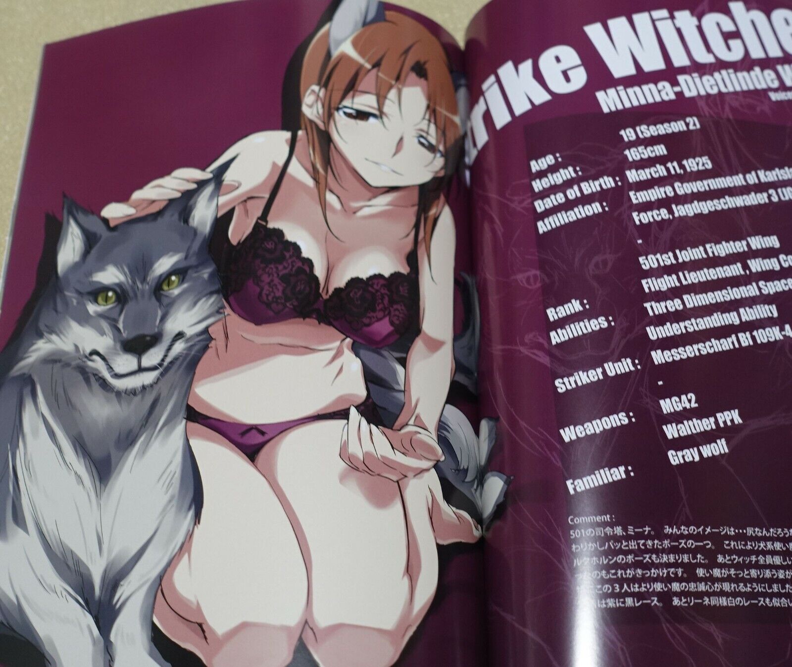 Tomoyasu Kurashima Strike Witches2 Color Art Book SW2 no Nanika 30 page 