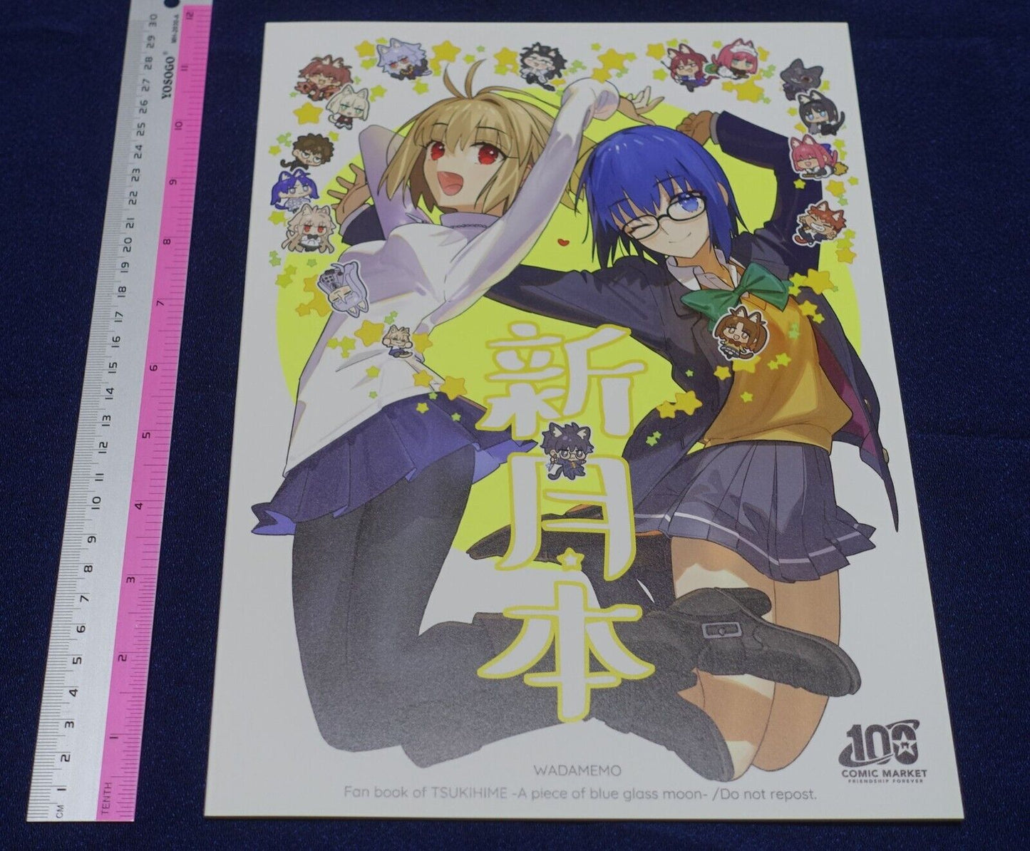 Wadamemo Arco Wada Tsukihime Fan Art Book Shin Tsuki Hon & PVC Art Board C100 