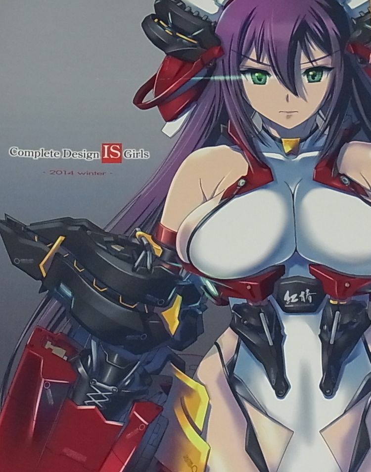 Nenchi Infinite Infinite Stratos Fan Book Arranged Armor Art Complete Design 