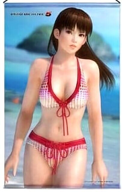 DEAD OR ALIVE 5 Leifang 51 x 72 cm Tapestry Wall Scroll 