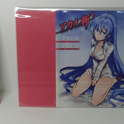 Tetsuya Tashiro Akame ga Kill! Comic Vol.4 Special Book Cover Esdeath 