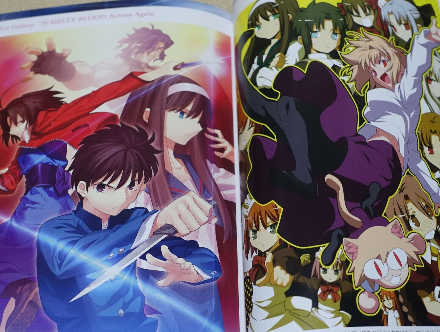 MELTY BLOOD setting & history book MELTY BLOOD DOKUHON 