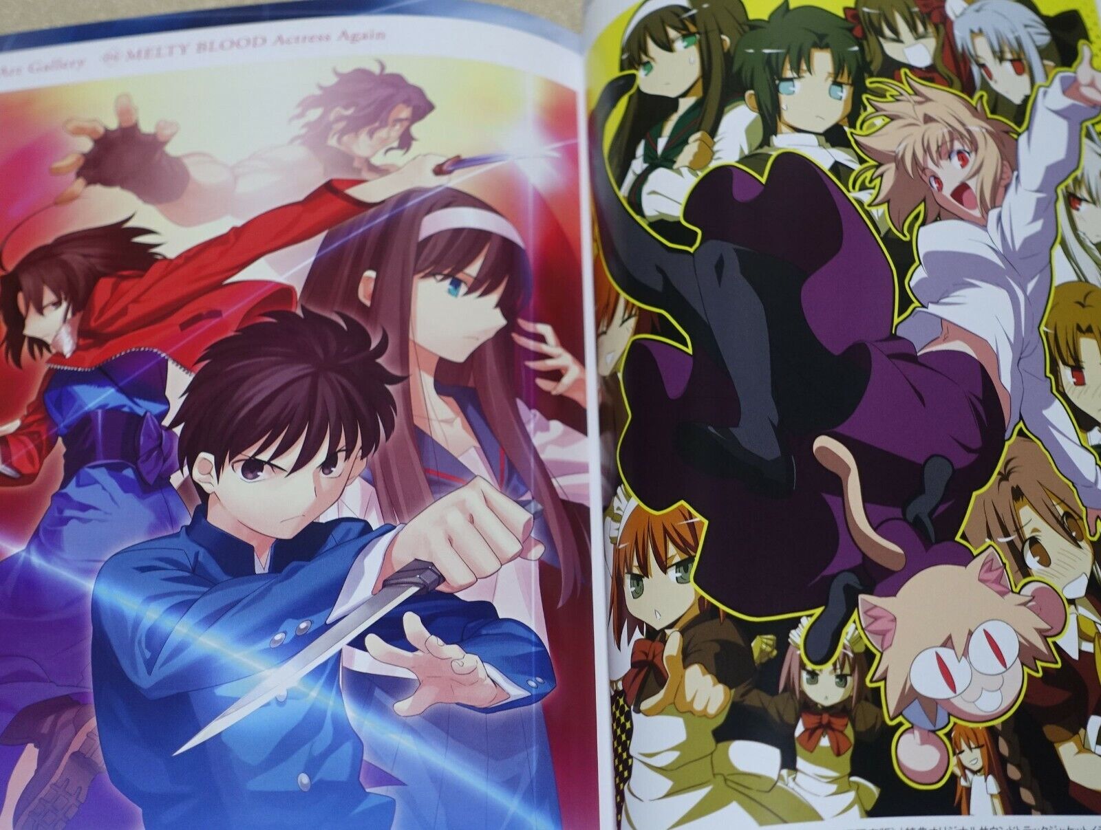 MELTY BLOOD setting & history book MELTY BLOOD DOKUHON 