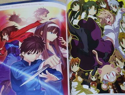 MELTY BLOOD setting & history book MELTY BLOOD DOKUHON 