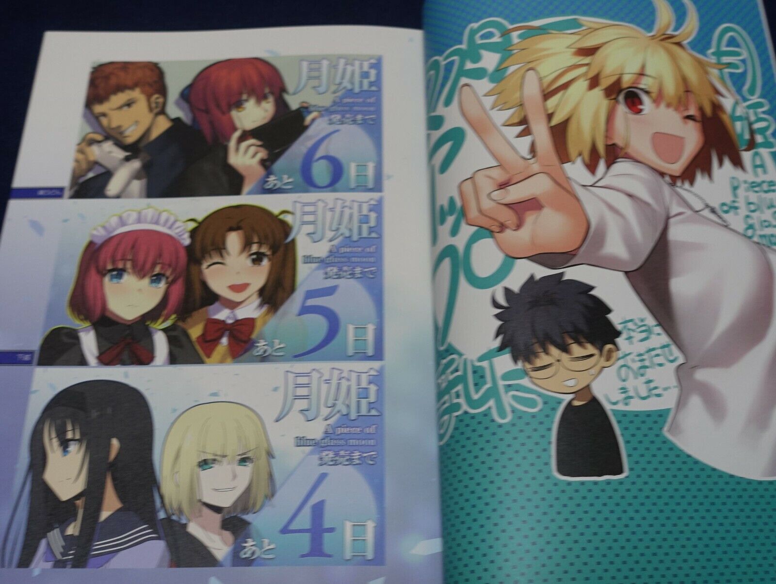 Tsukihime A piece of blue glass moon Official Fan Book Tsukihime Sou Hon 100page 