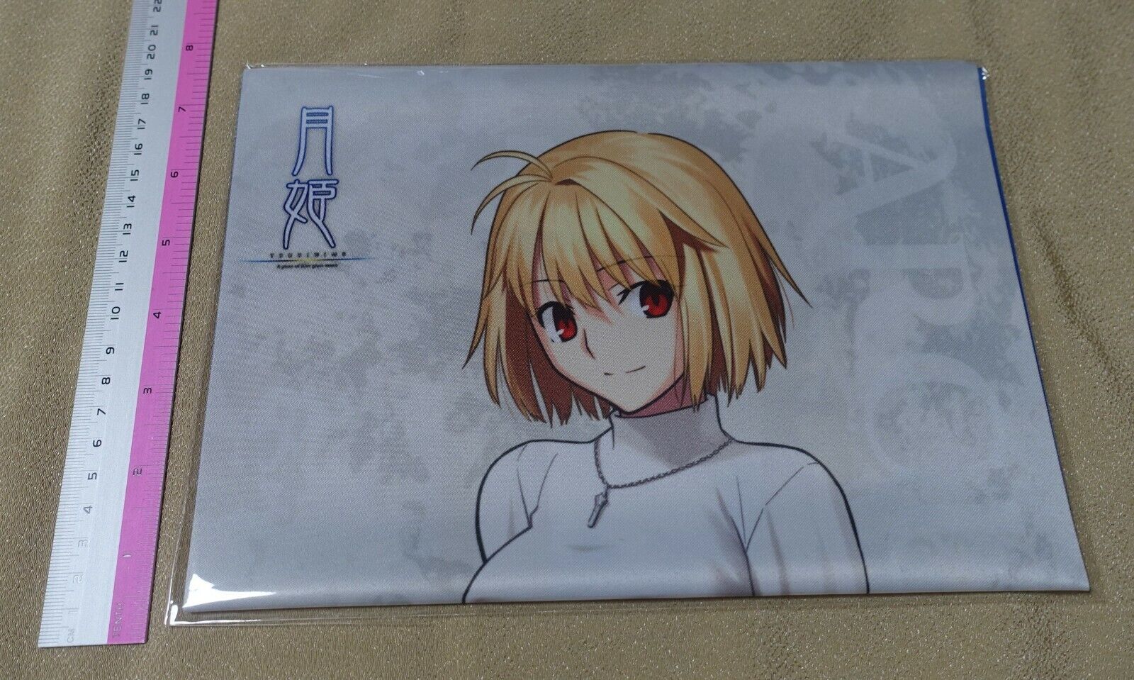 Tsukihime A piece of blue glass moon Arcueid Brunestud Cloth Poster 