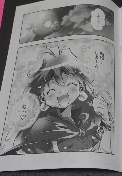 Rui Araizumi The Slayers Designer's Hand Made Doujinshi THE BLACKLIST Return 