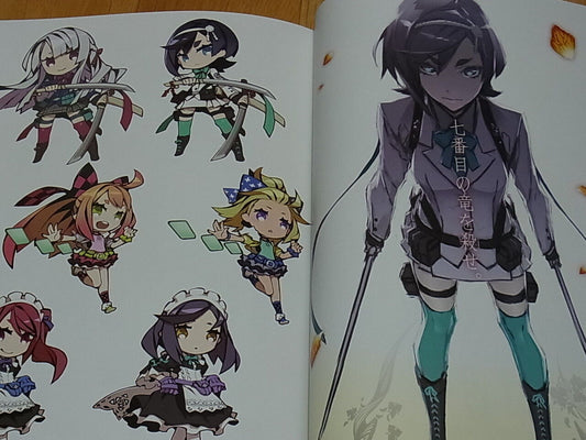 Shirow Miwa Color Art Book m3w ver.13 side C C89 