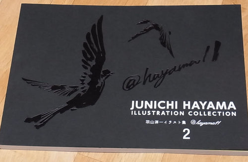 JUNICHI HAYAMA ILLUSTRATION COLLECTION2 142page 
