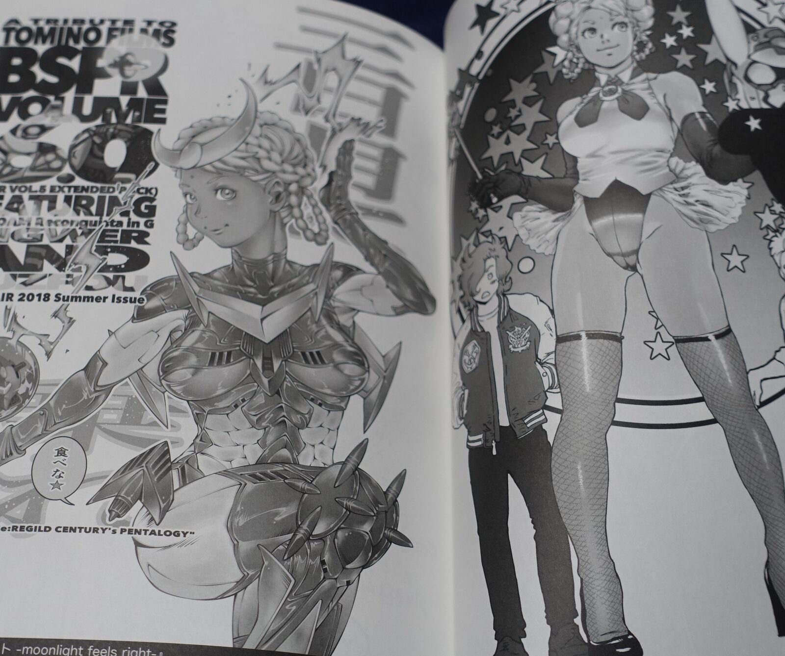 vigwer & suzfou Turn A & Reconguista in G Gundam Fan Art Book BSPR C100 