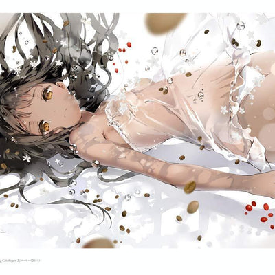 Anmi Illustration Art Work Book CRYSTAL CLEAR 