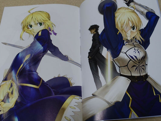 TYPE-Moon Fate young ace Illustrations Color Art Book 