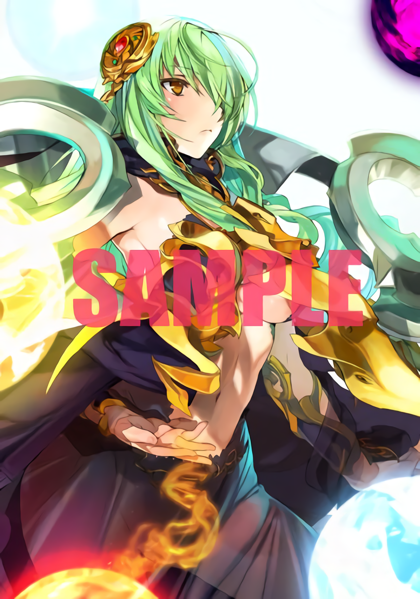 Alice Soft Rance 10 Kessen Privilege B2 Size Tapestry Wall Scroll Hornet Rare 