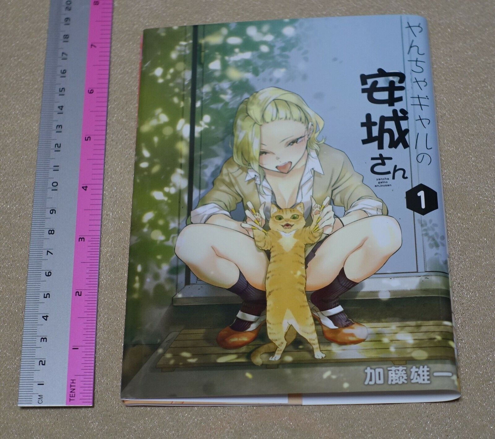 Yuichi Kato Yancha Gal no Anjo San Special Book Cover For Vol.1 