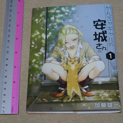 Yuichi Kato Yancha Gal no Anjo San Special Book Cover For Vol.1 