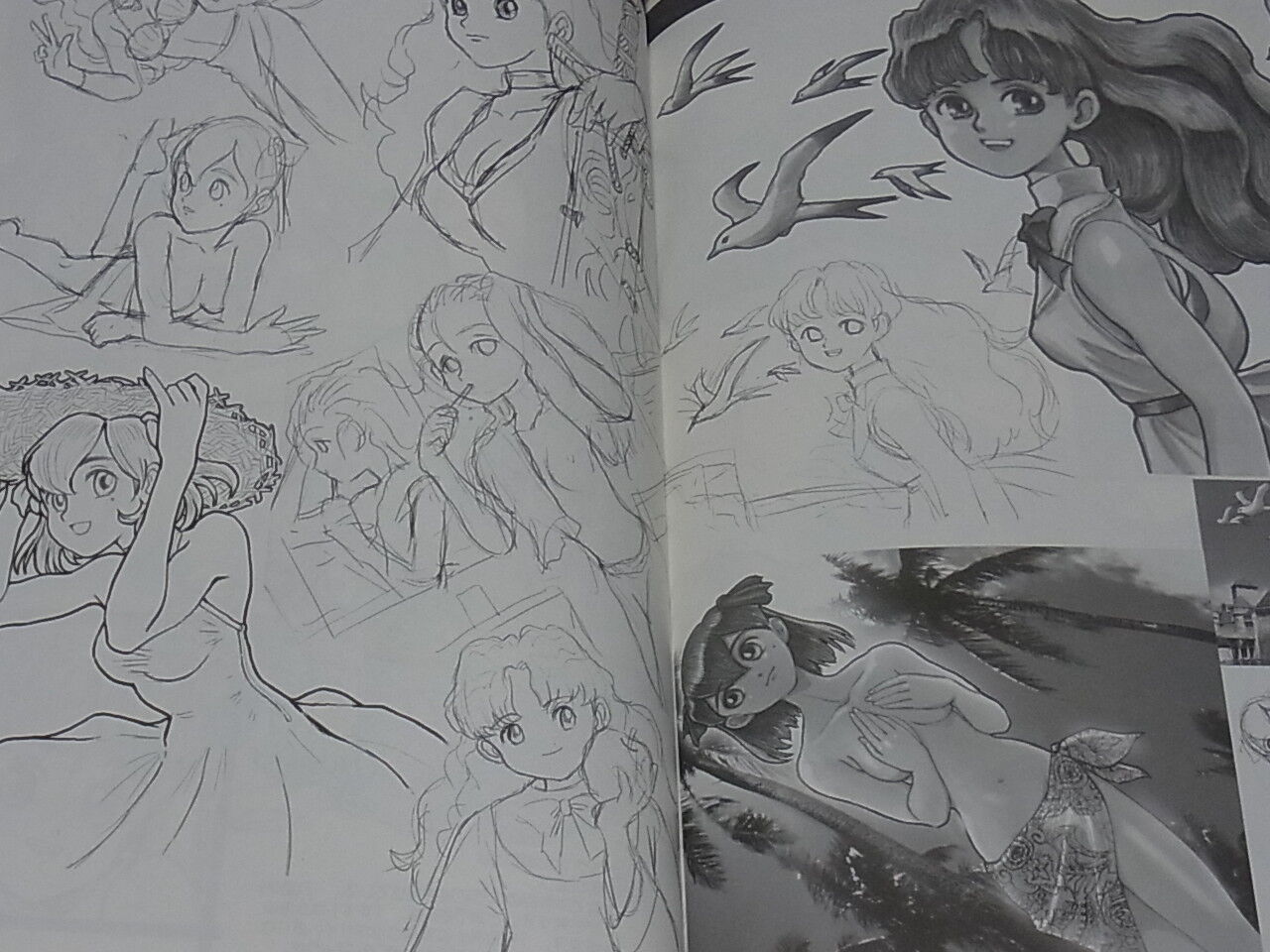 Takami Akai Illustration Art Book Works2000 Seikai no Senki Princess Maker 