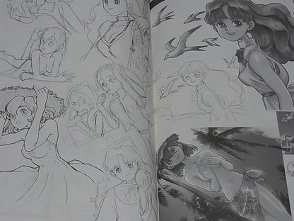 Takami Akai Illustration Art Book Works2000 Seikai no Senki Princess Maker 