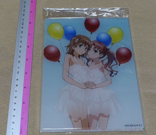 A Certain Scientific Railgun Mikoto Misaka & Kuroko Shirai Acrylic Art Board 